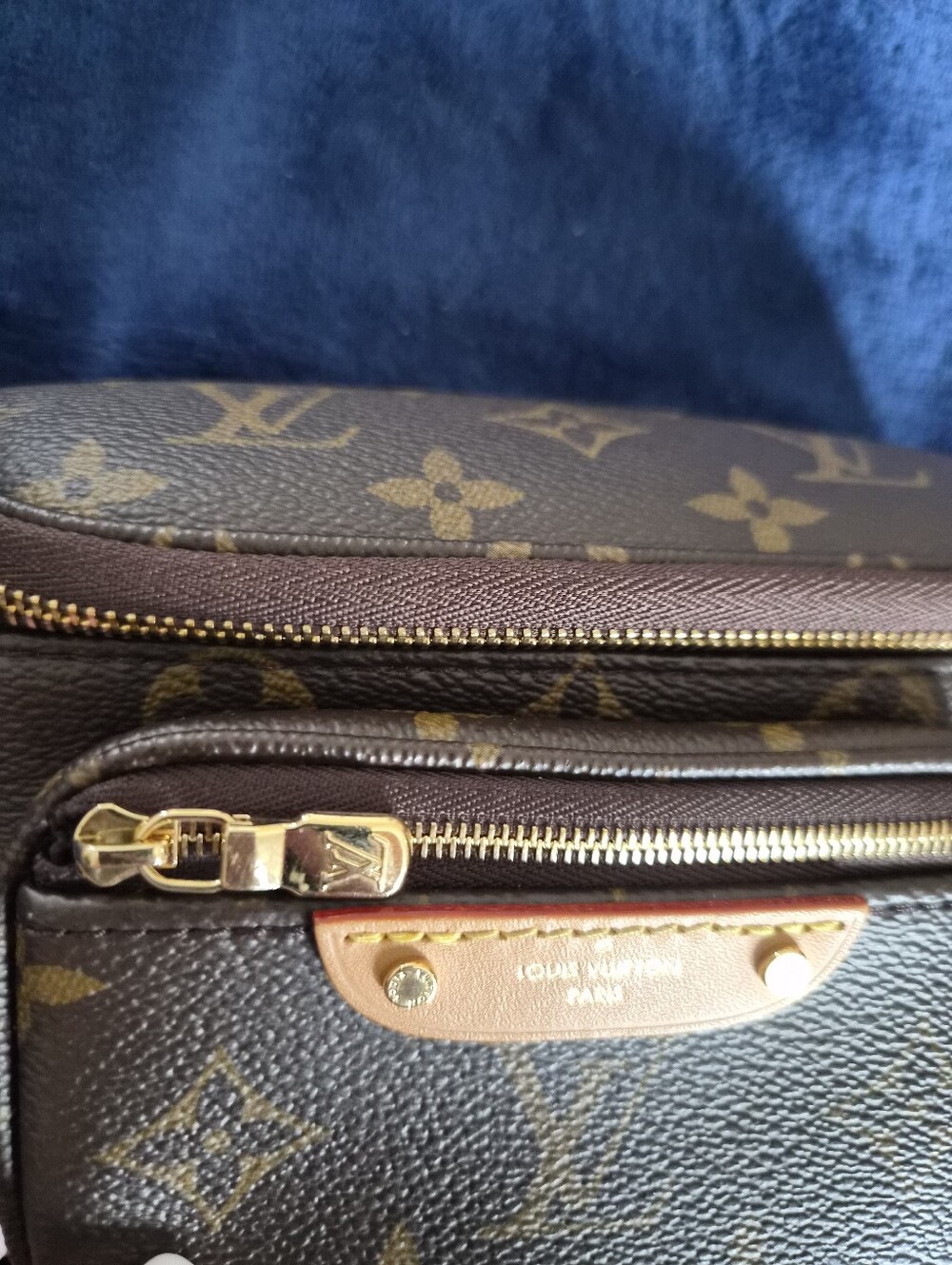 Louis Vuitton Monogram Canvas Mini Bum Belt Bag - Picture 8 of 16